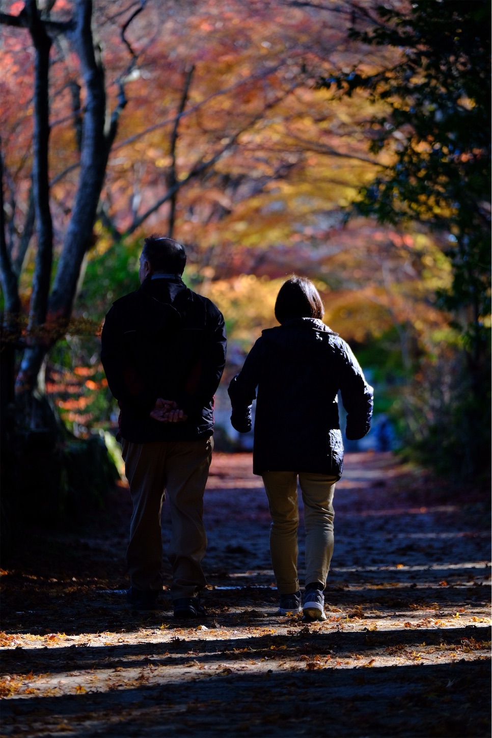 f:id:p-b-4:20191205092724j:image