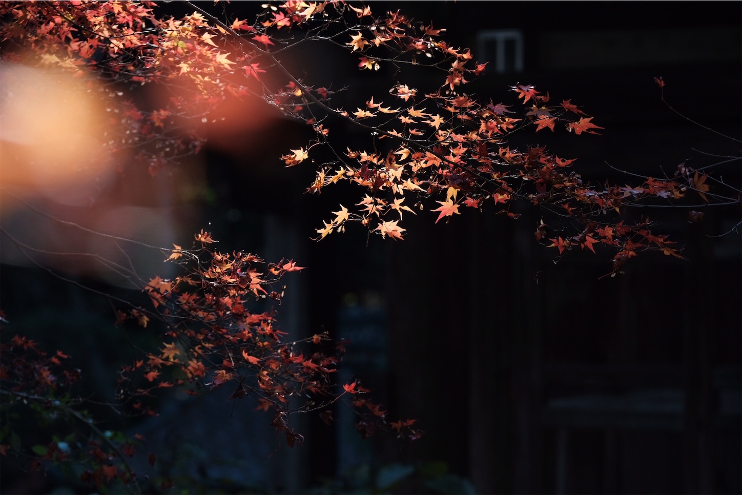 f:id:p-b-4:20191205092727j:image