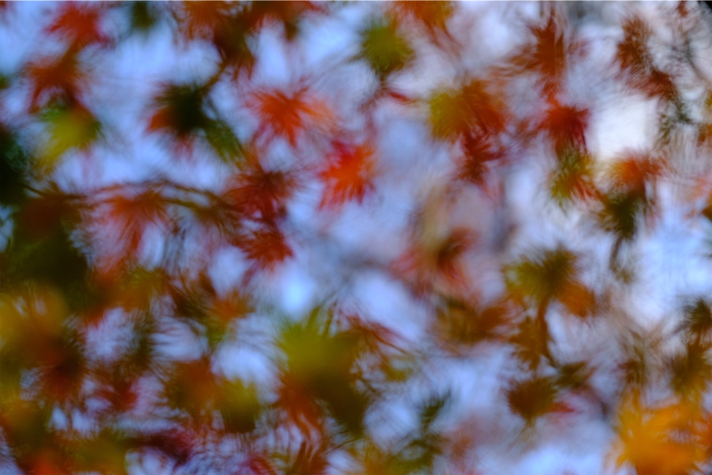 f:id:p-b-4:20191205092730j:image