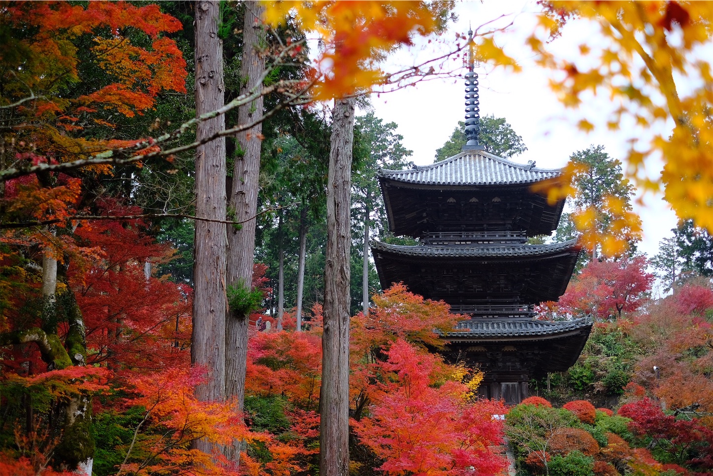 f:id:p-b-4:20191205092737j:image