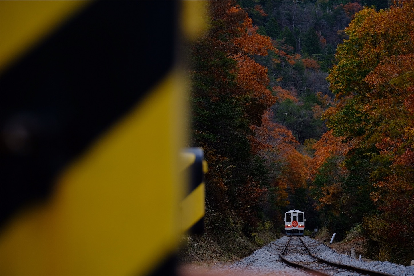 f:id:p-b-4:20191205092741j:image