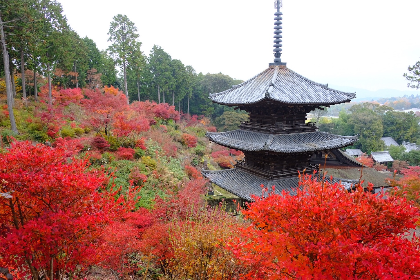 f:id:p-b-4:20191205092744j:image