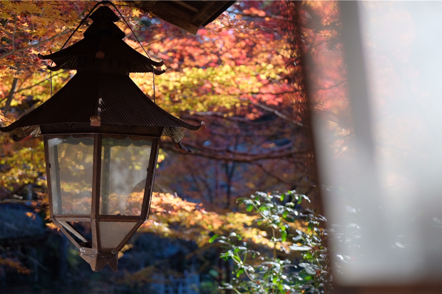 f:id:p-b-4:20191205092751j:image