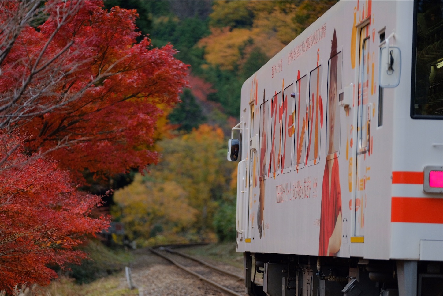 f:id:p-b-4:20191205092758j:image