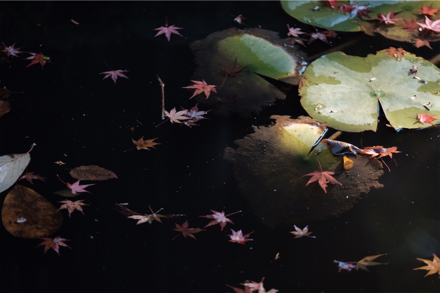 f:id:p-b-4:20191205092805j:image