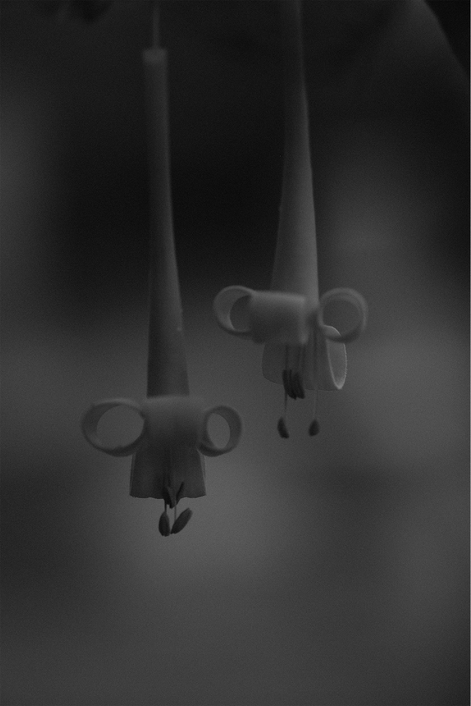 f:id:p-b-4:20200128111031j:image f:id:p-b-4:20200128111031j:image