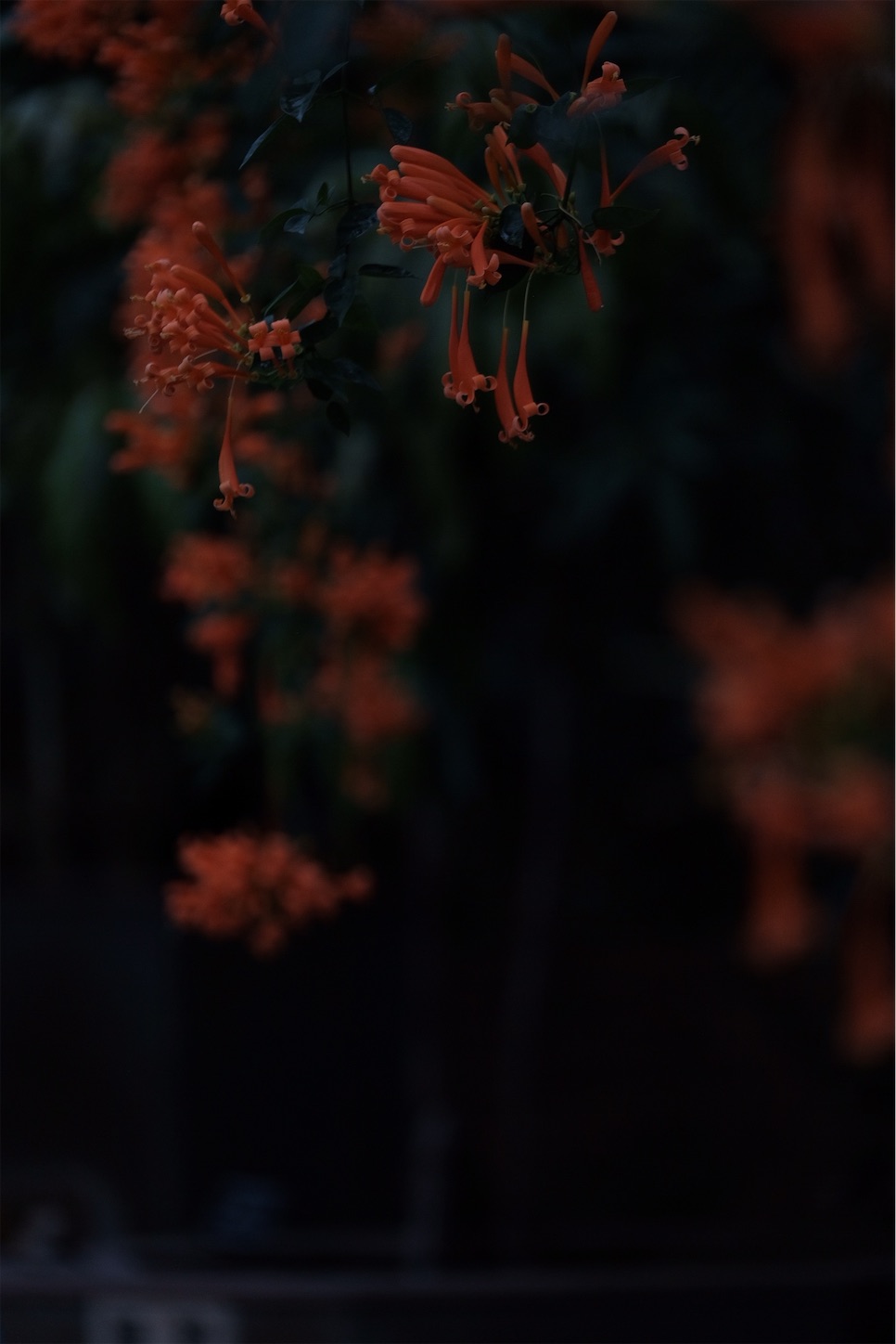 f:id:p-b-4:20200128111038j:image f:id:p-b-4:20200128111038j:image