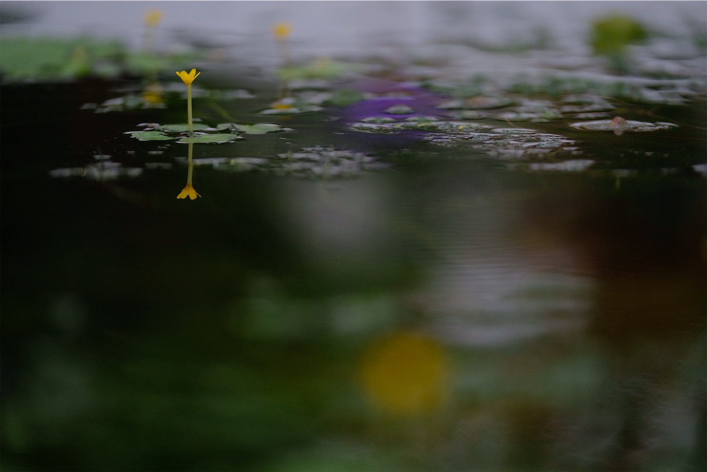 f:id:p-b-4:20200128111052j:image f:id:p-b-4:20200128111052j:image