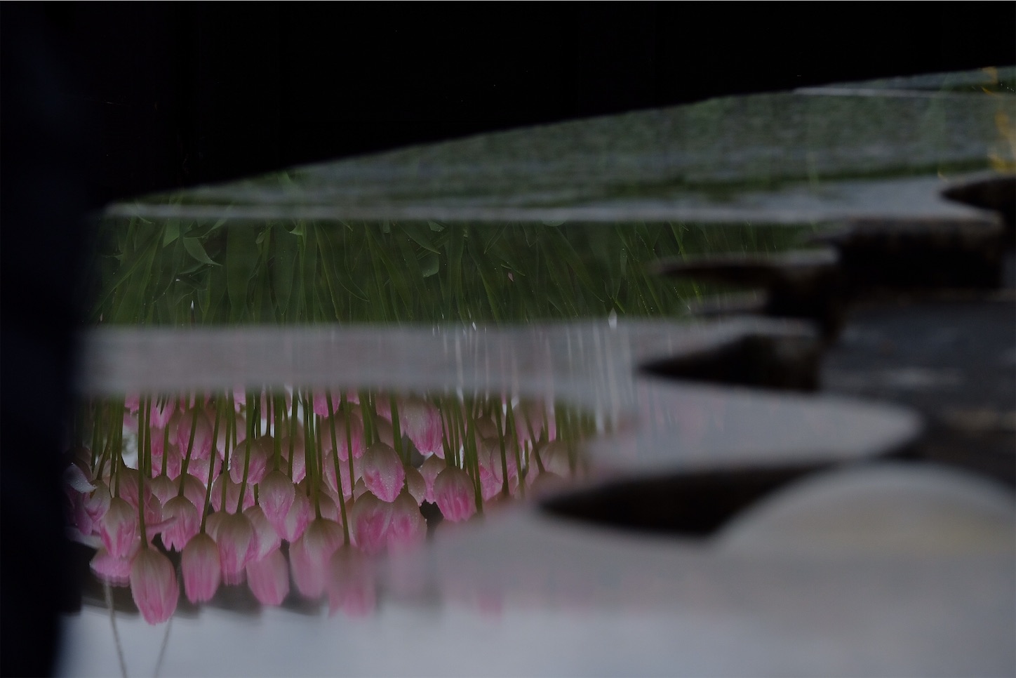 f:id:p-b-4:20200128111056j:image f:id:p-b-4:20200128111056j:image