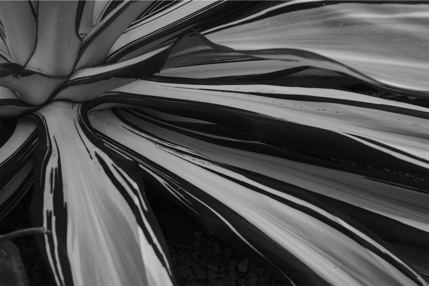 f:id:p-b-4:20200128111059j:image f:id:p-b-4:20200128111059j:image