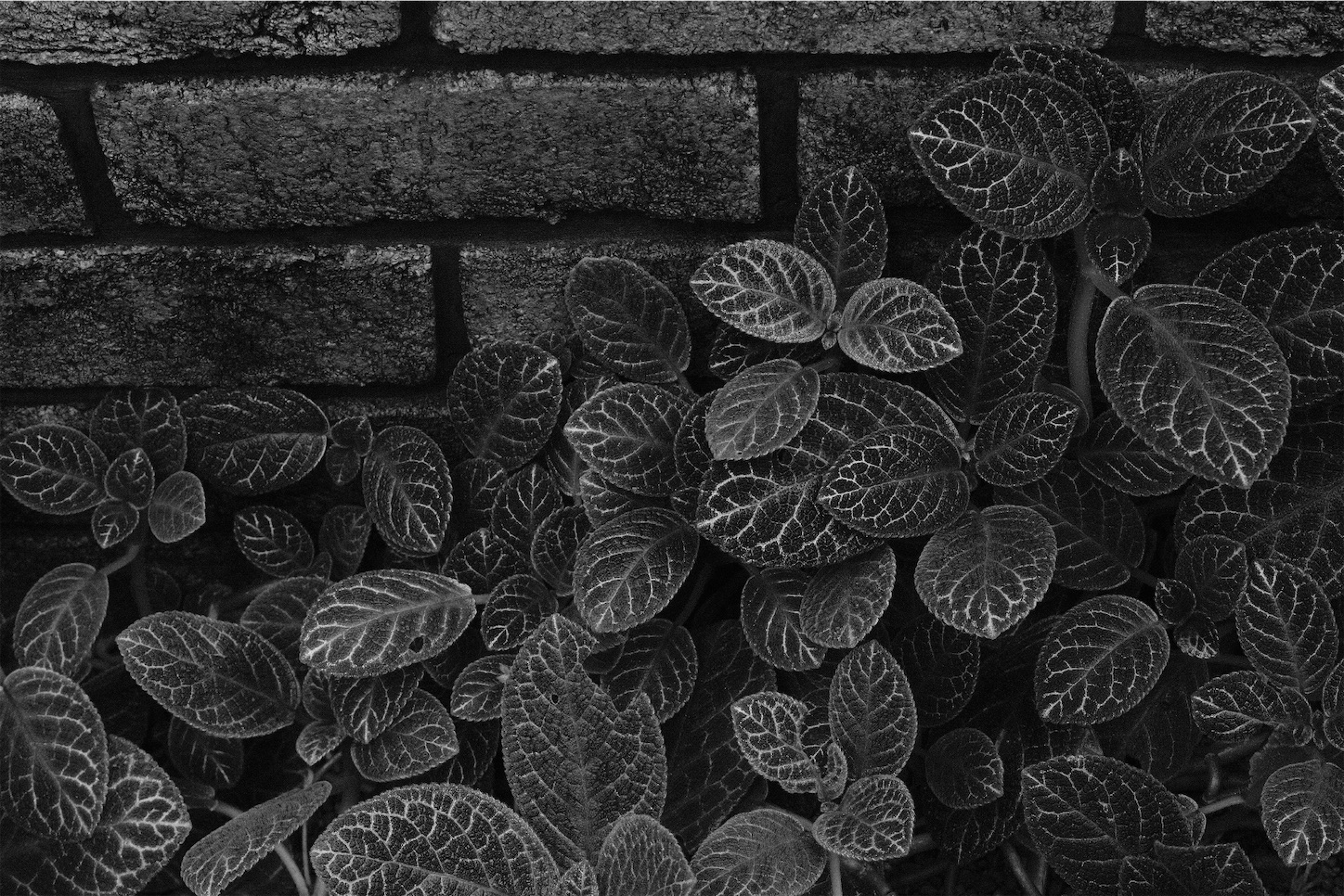 f:id:p-b-4:20200128111105j:image f:id:p-b-4:20200128111105j:image