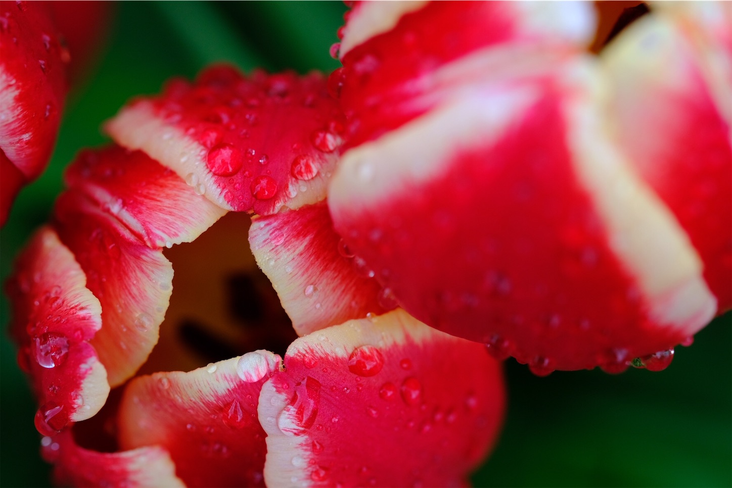 f:id:p-b-4:20200128111112j:image f:id:p-b-4:20200128111112j:image