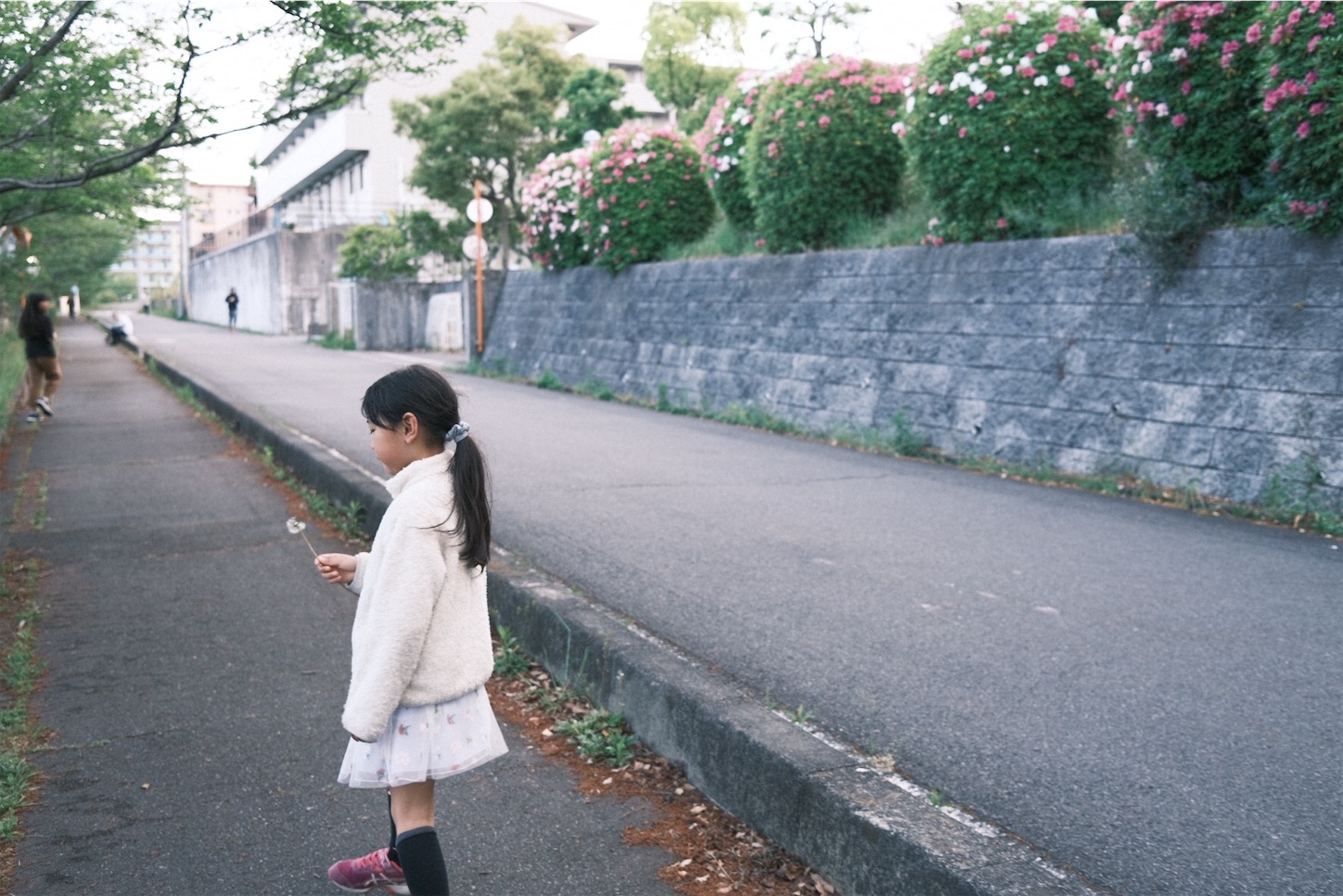 f:id:p-b-4:20200506014651j:image