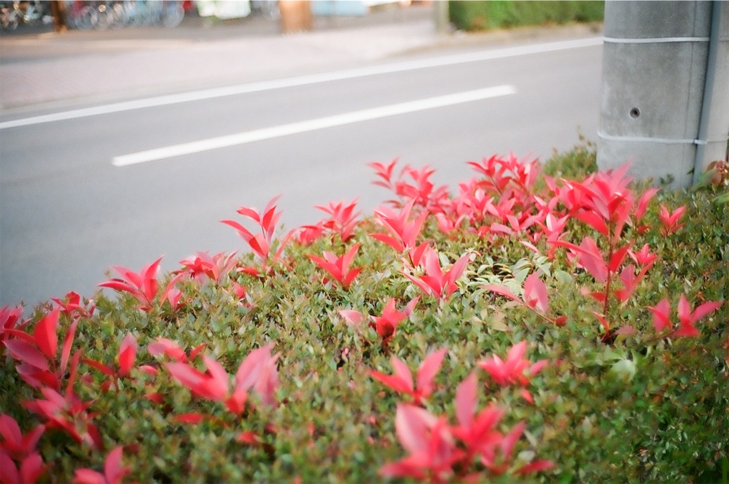 f:id:p-b-4:20200724122116j:image f:id:p-b-4:20200724122116j:image