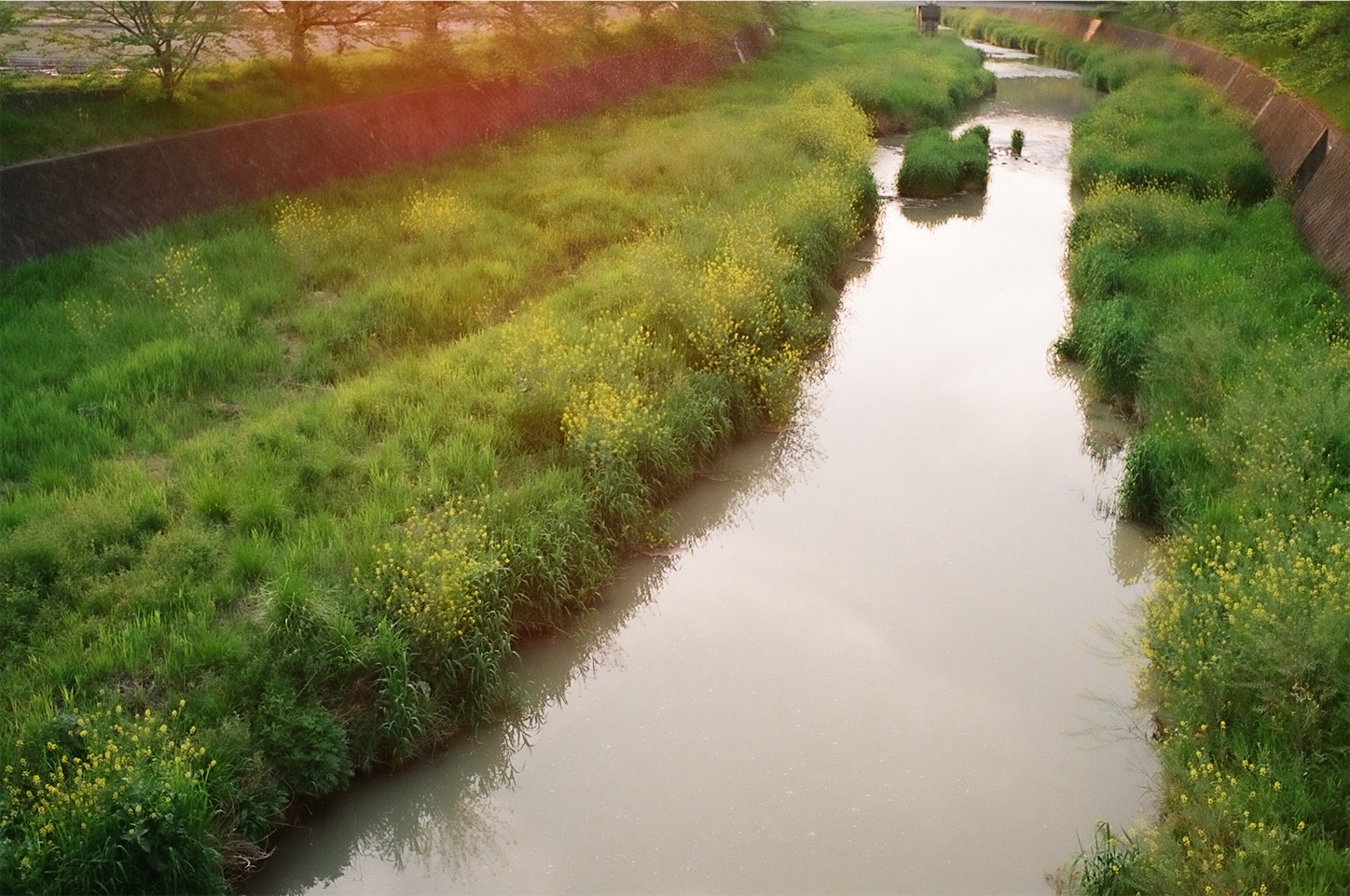 f:id:p-b-4:20200724122120j:image f:id:p-b-4:20200724122120j:image