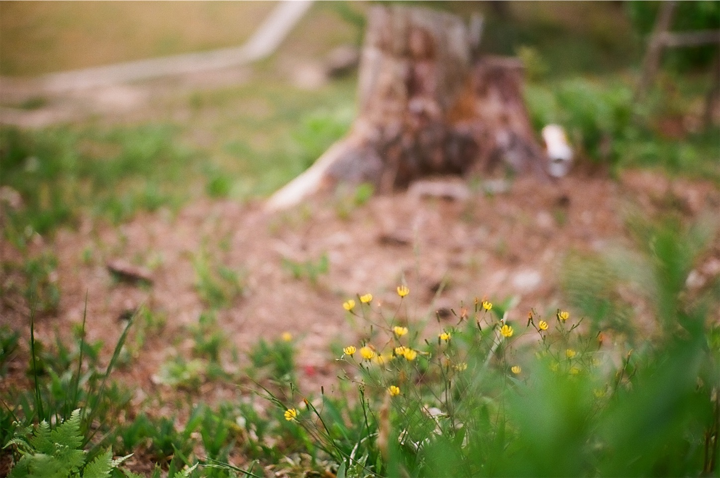 f:id:p-b-4:20200724122128j:image f:id:p-b-4:20200724122128j:image