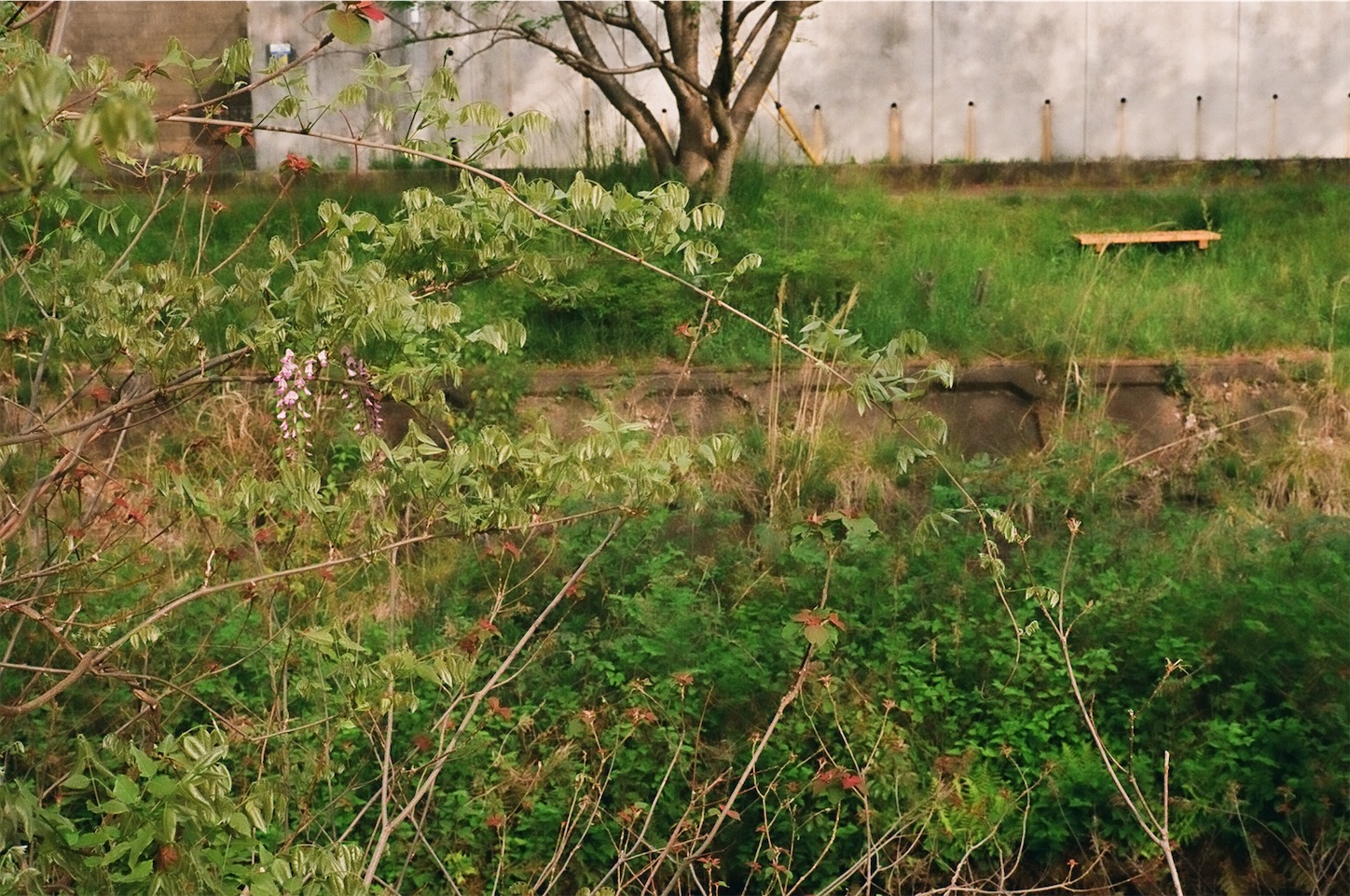 f:id:p-b-4:20200724122134j:image f:id:p-b-4:20200724122134j:image