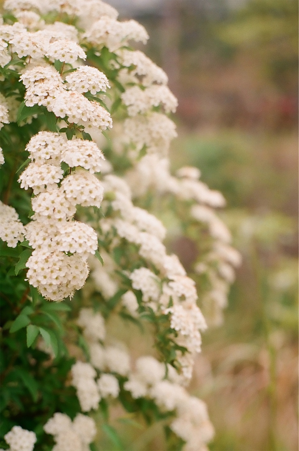 f:id:p-b-4:20200724122405j:image f:id:p-b-4:20200724122405j:image