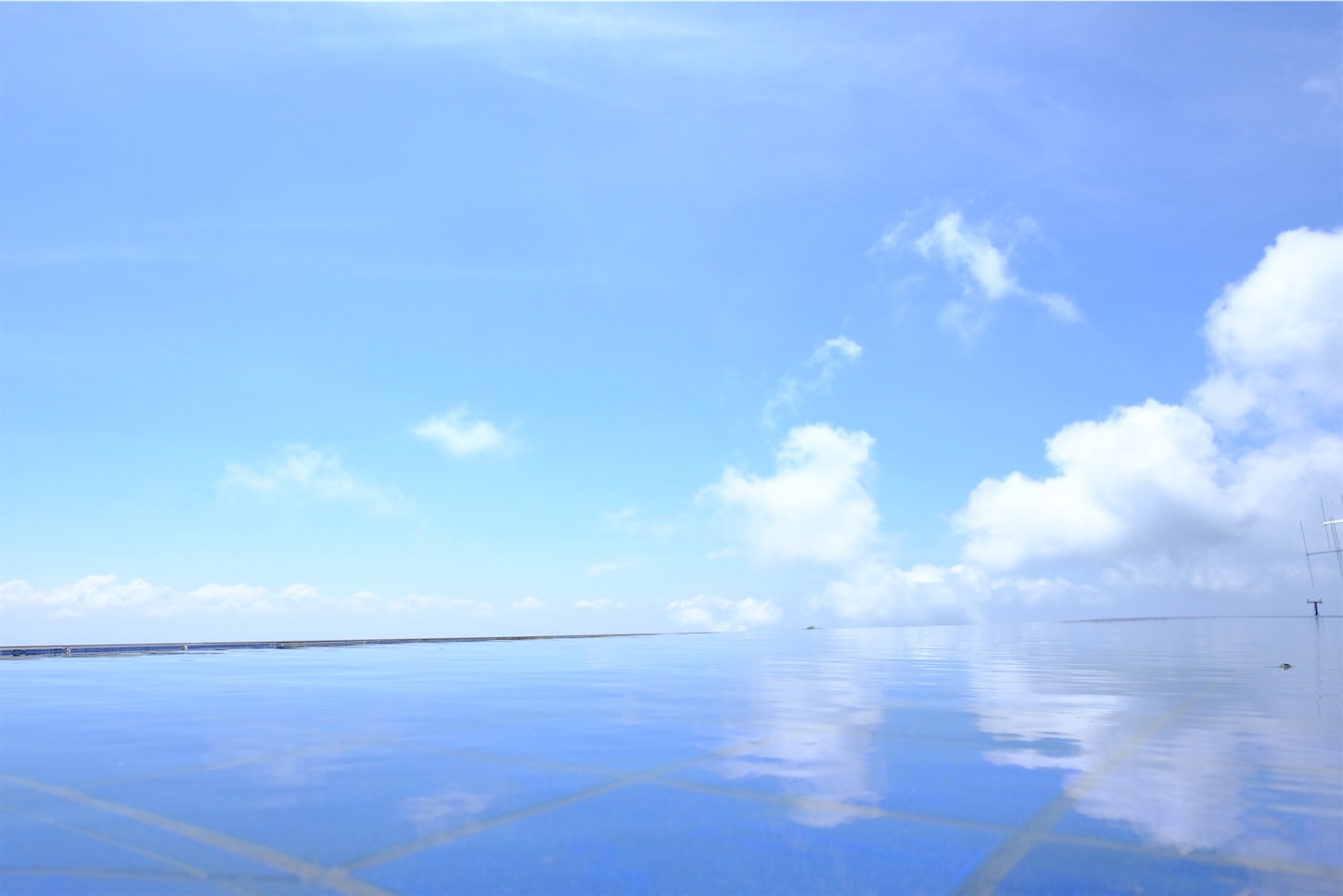 f:id:p-b-4:20200821070513j:image