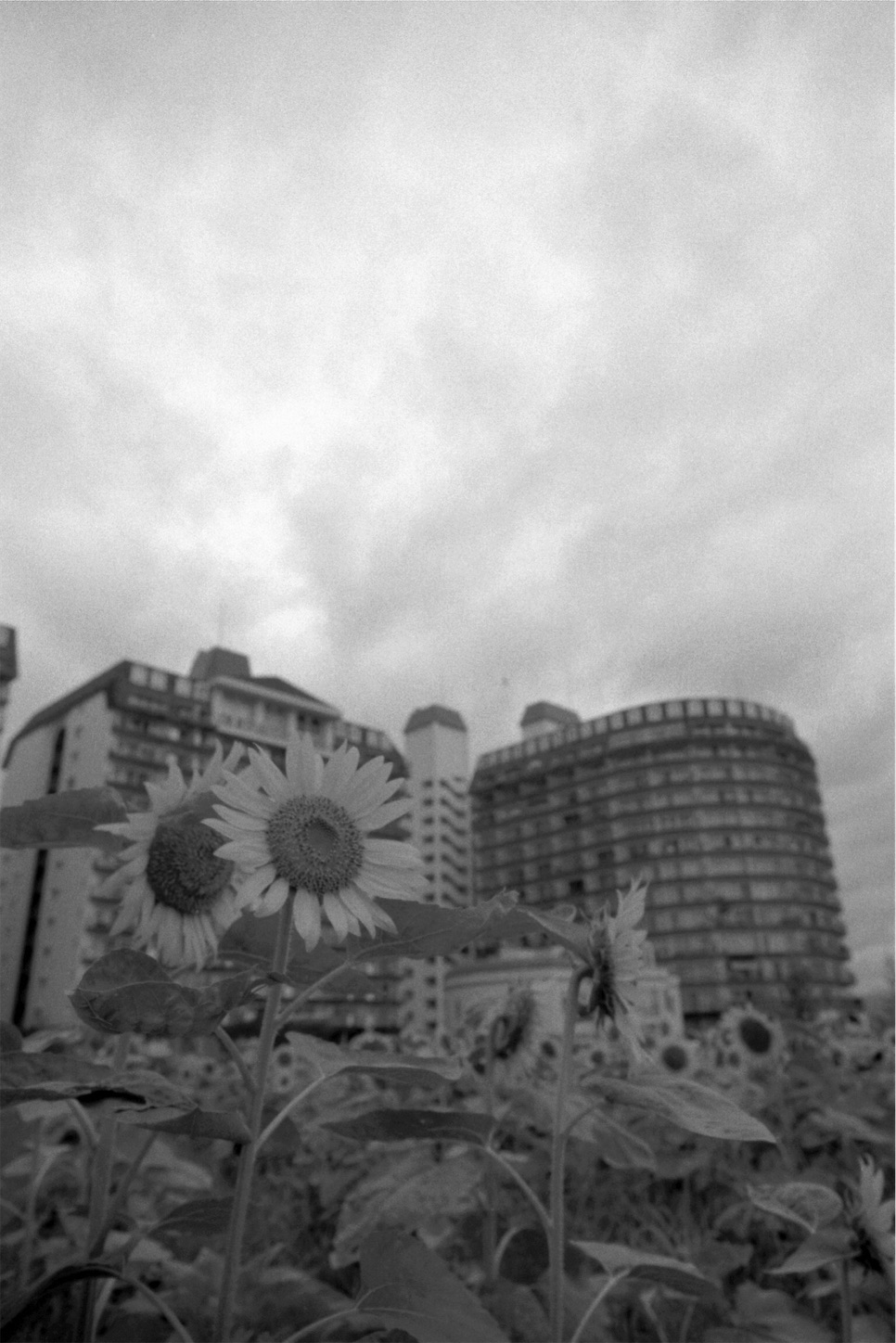 f:id:p-b-4:20200918010858j:image f:id:p-b-4:20200918010858j:image