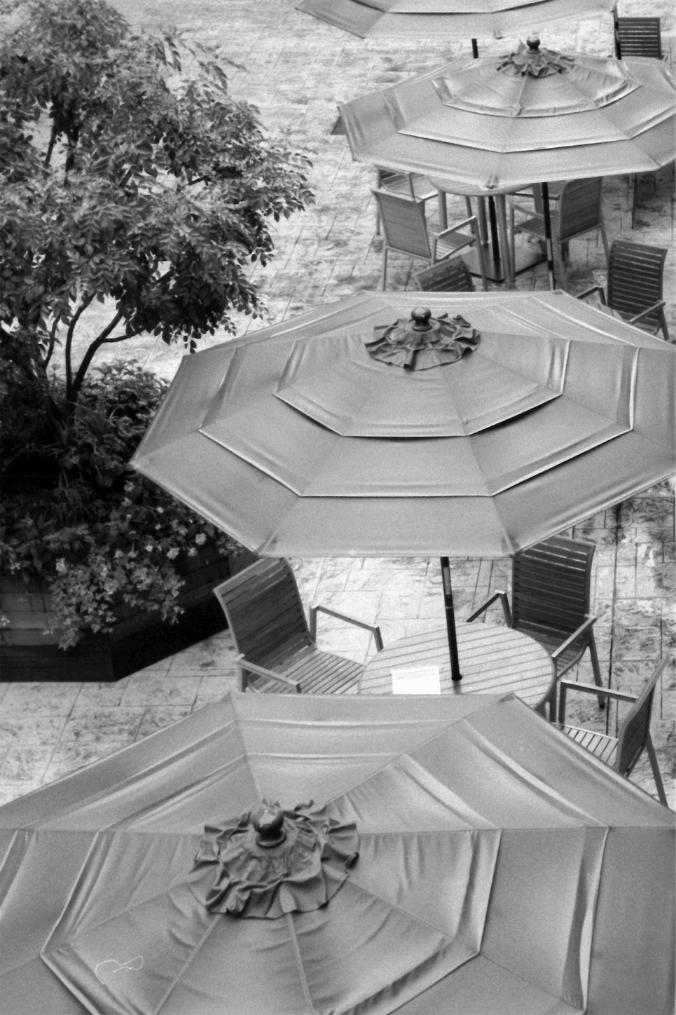 f:id:p-b-4:20200918010908j:image f:id:p-b-4:20200918010908j:image