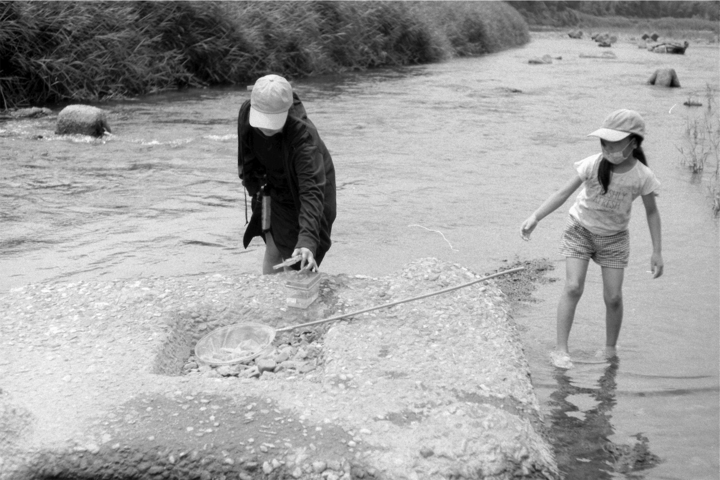 f:id:p-b-4:20200918011056j:image f:id:p-b-4:20200918011056j:image