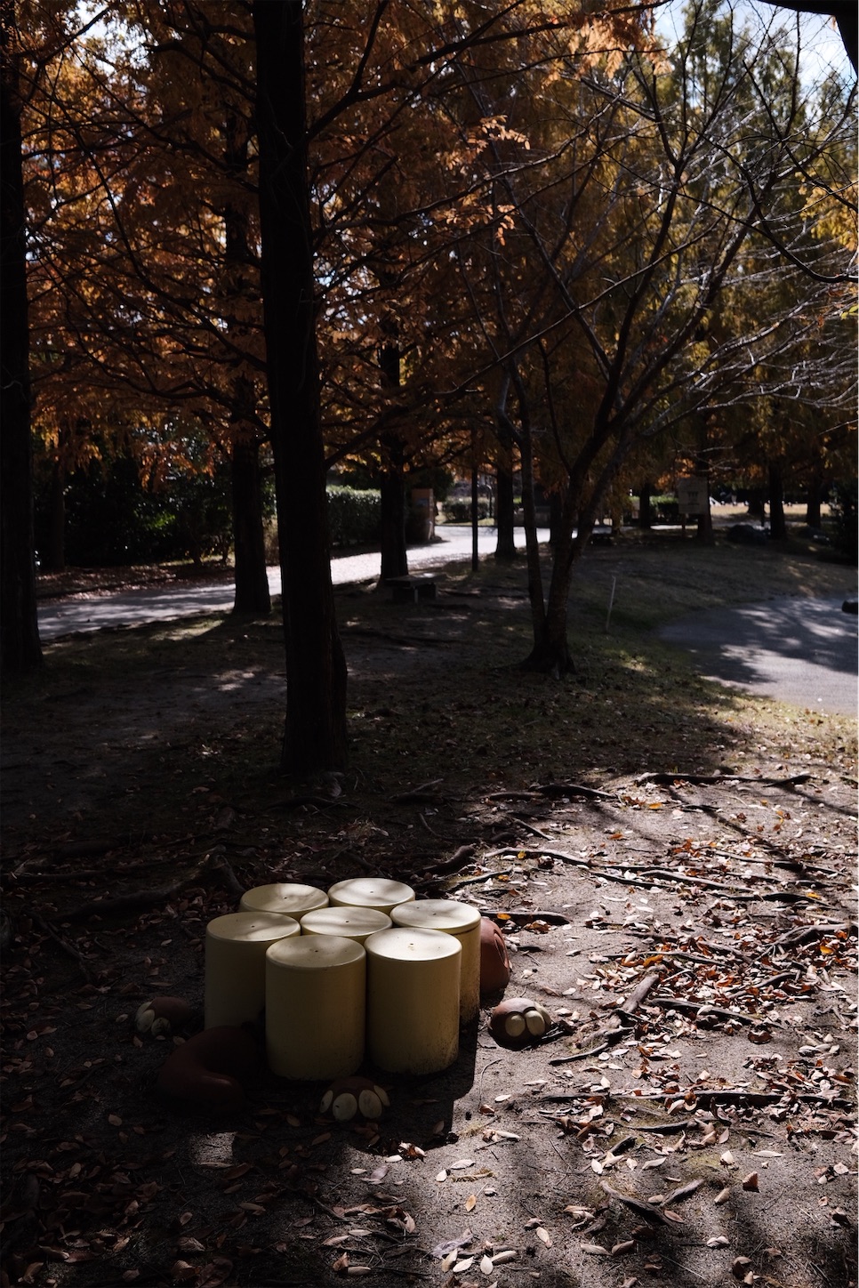 f:id:p-b-4:20201115012146j:image