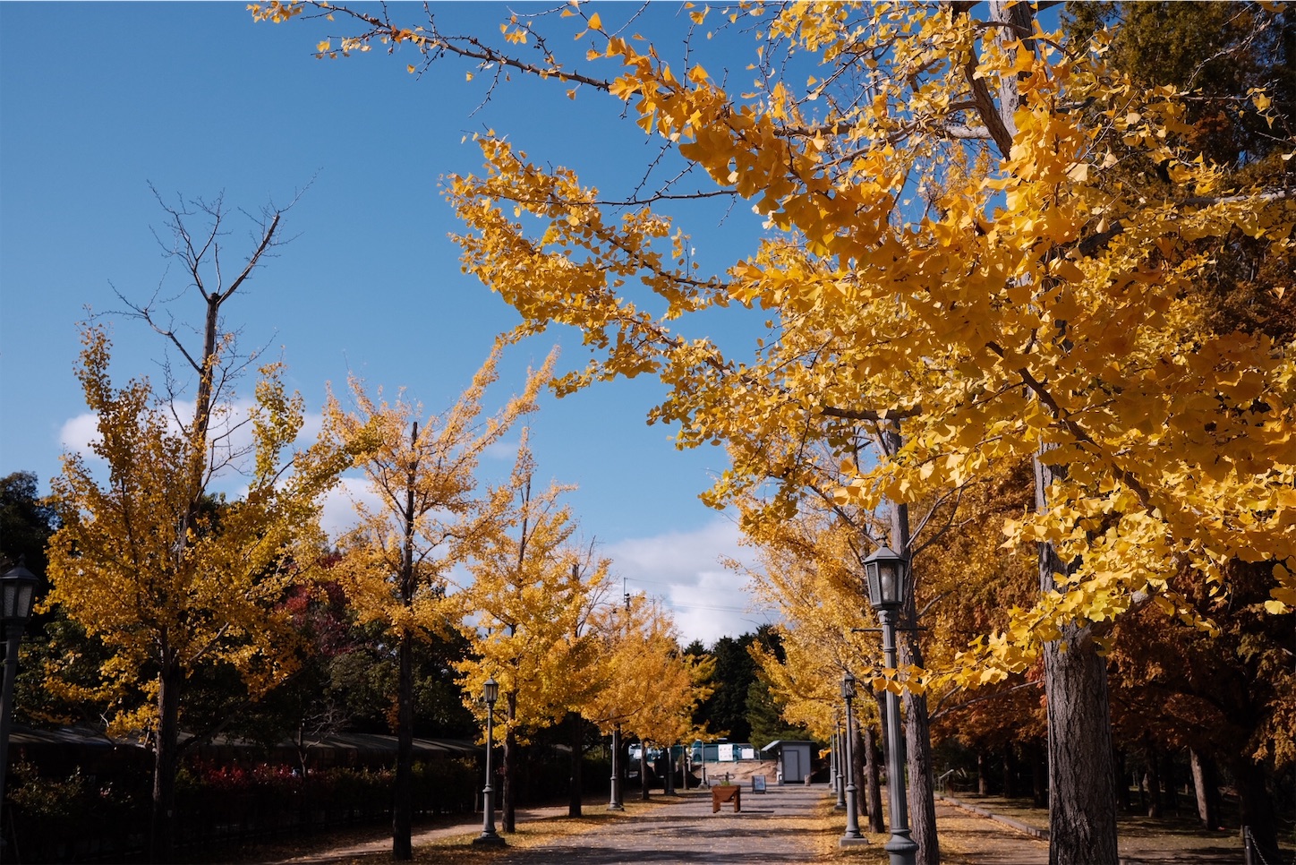 f:id:p-b-4:20201115012151j:image