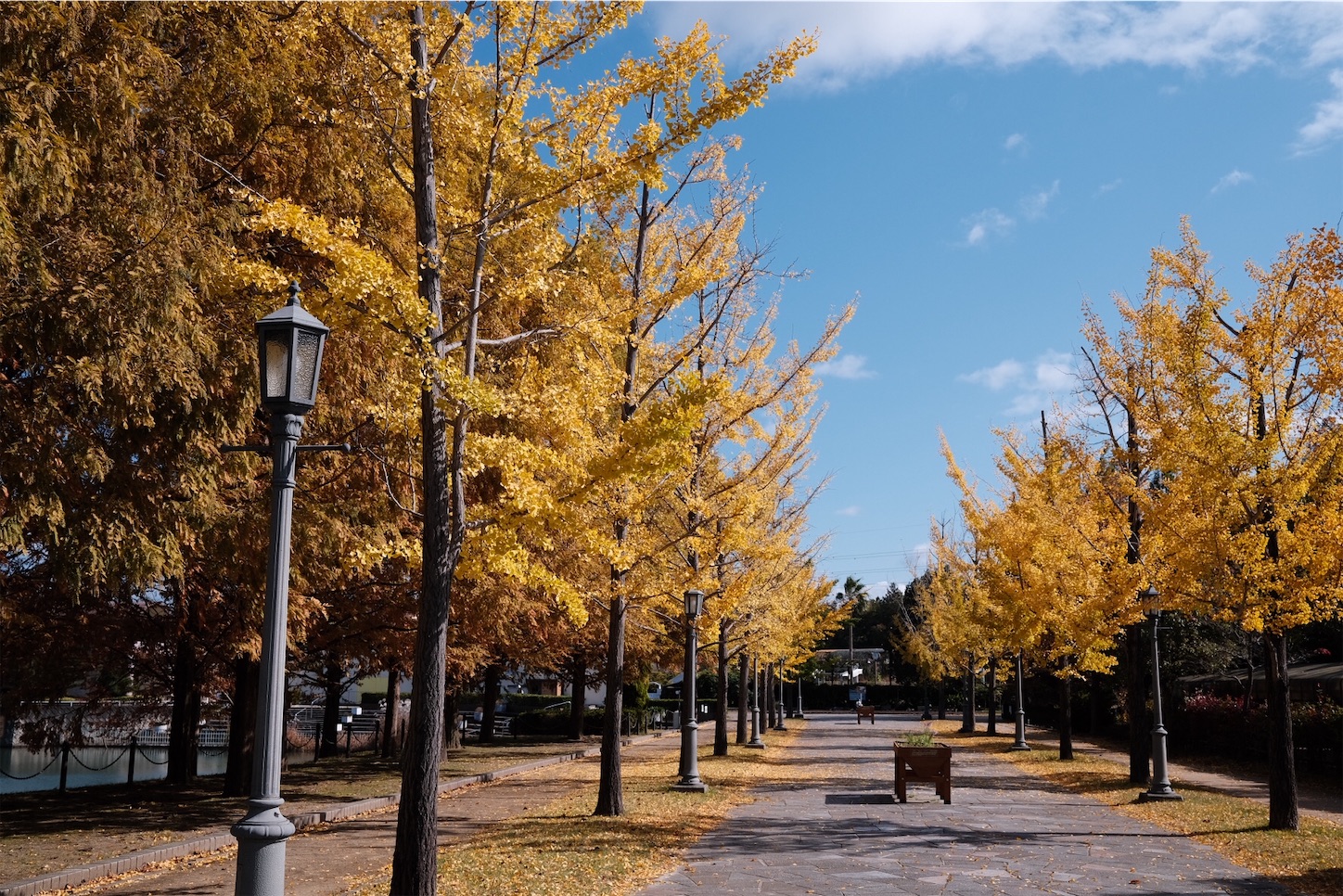 f:id:p-b-4:20201115012200j:image