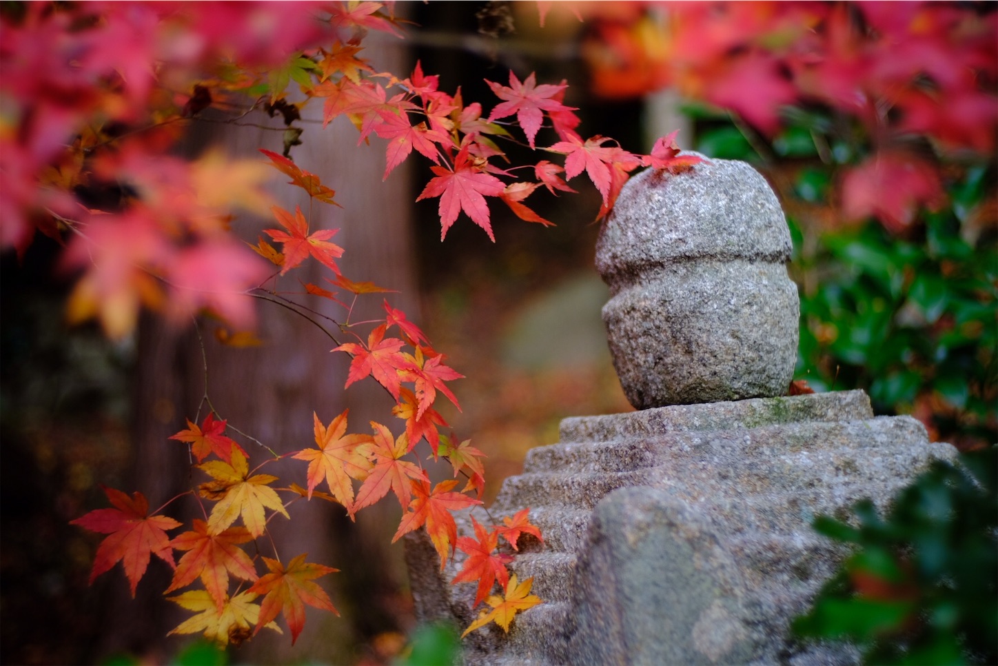 f:id:p-b-4:20201124011028j:image