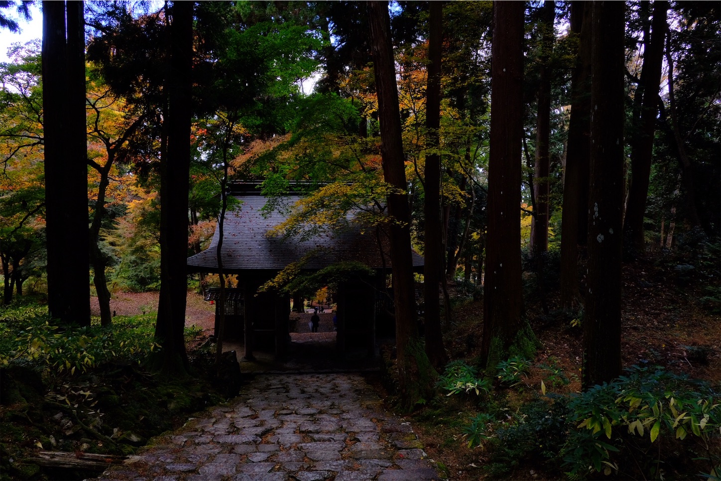 f:id:p-b-4:20201124011033j:image