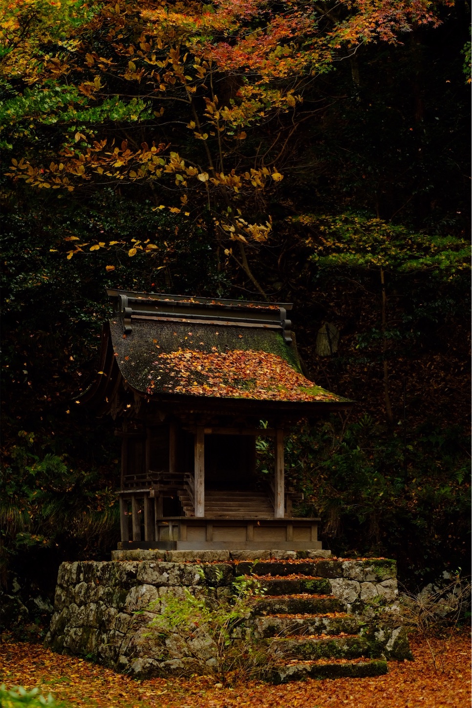 f:id:p-b-4:20201124011100j:image