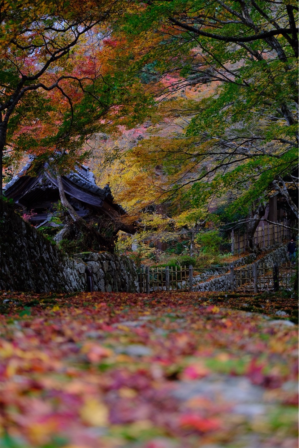 f:id:p-b-4:20201124011257j:image