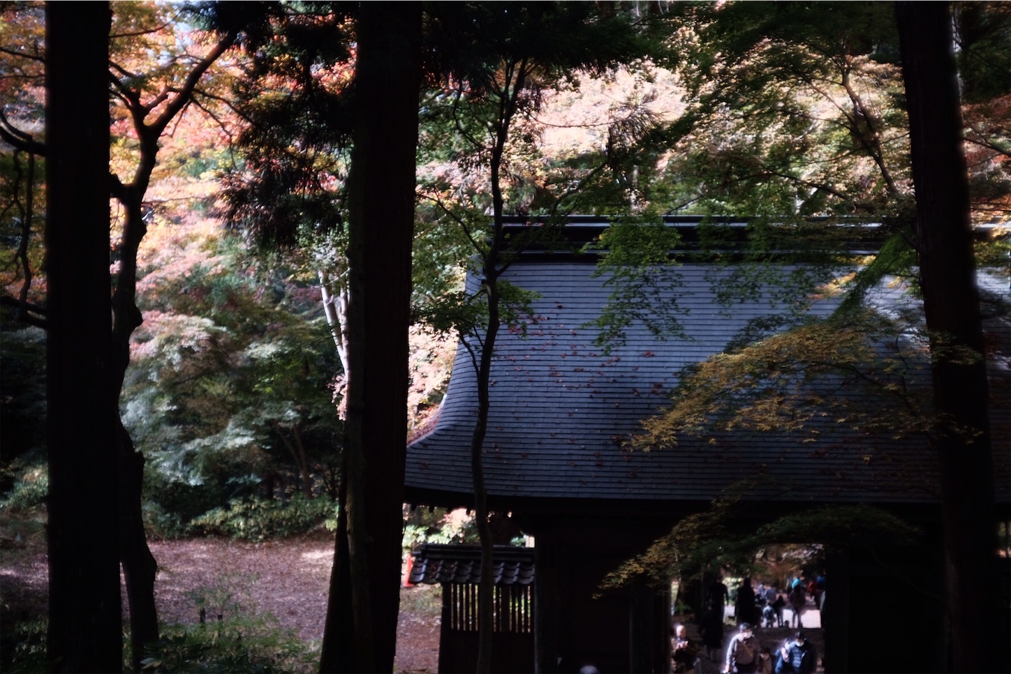 f:id:p-b-4:20201124011304j:image