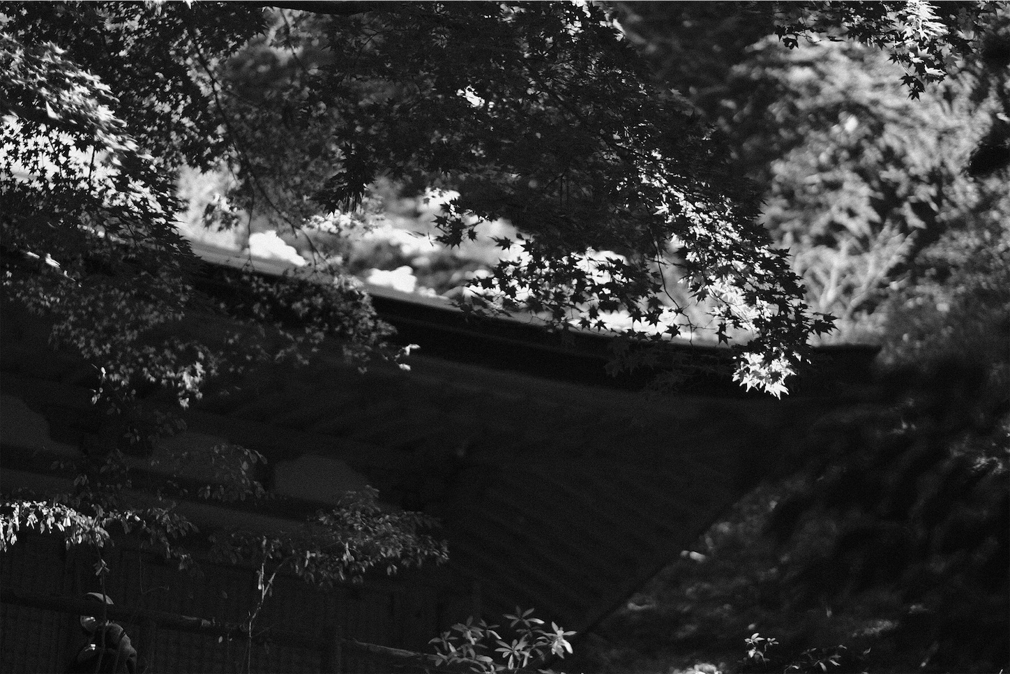 f:id:p-b-4:20201124011312j:image