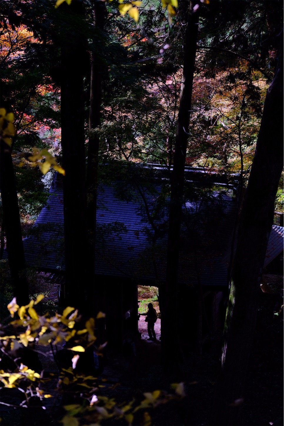 f:id:p-b-4:20201124011317j:image