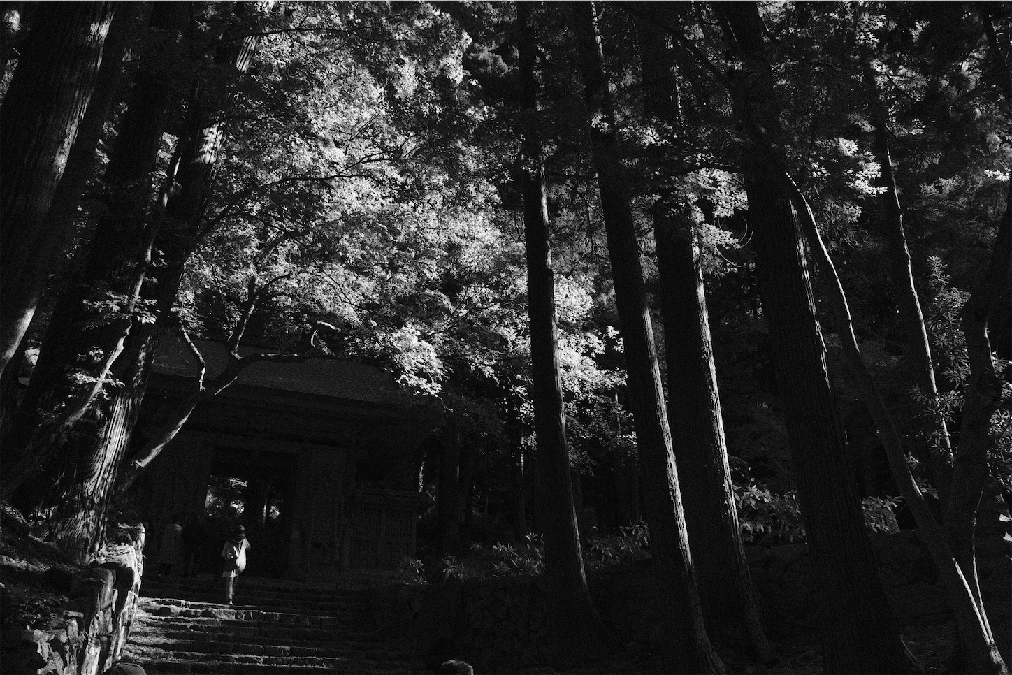 f:id:p-b-4:20201124011321j:image