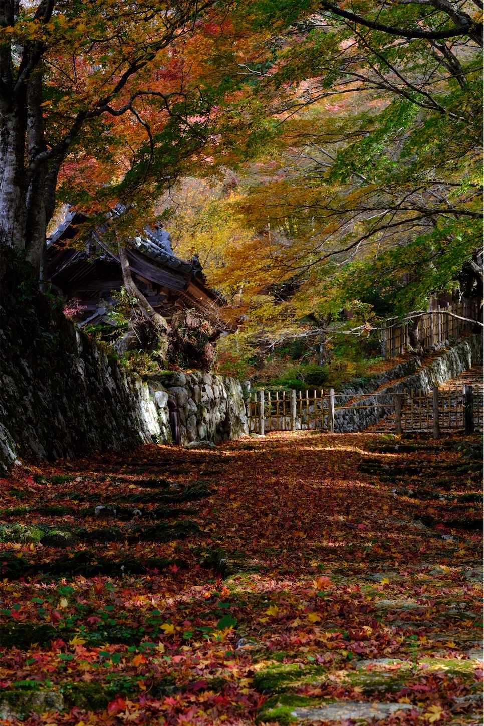 f:id:p-b-4:20201124011325j:image