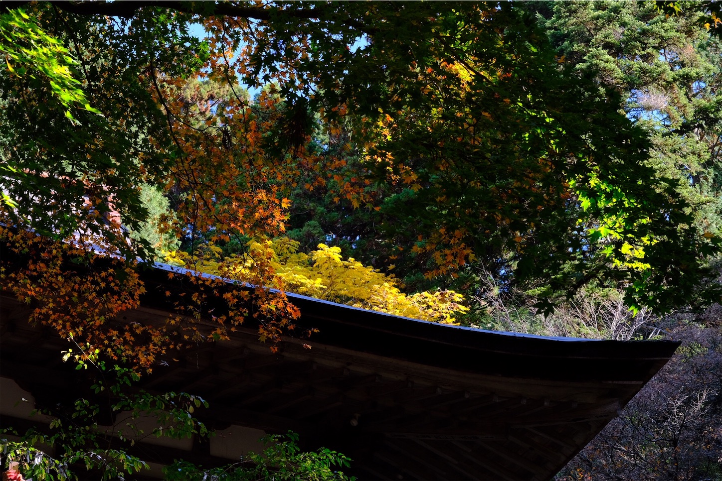 f:id:p-b-4:20201124011332j:image