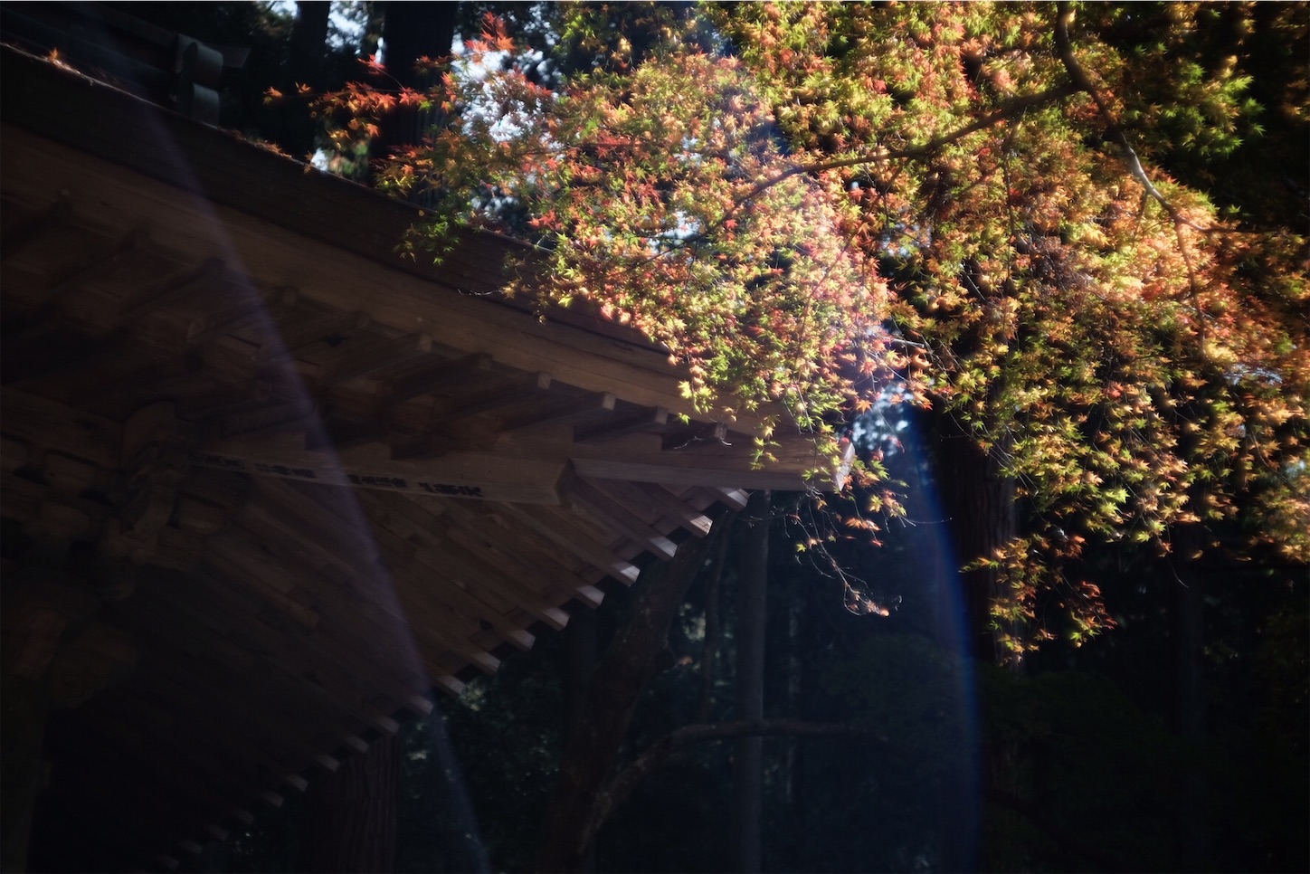 f:id:p-b-4:20201124011338j:image