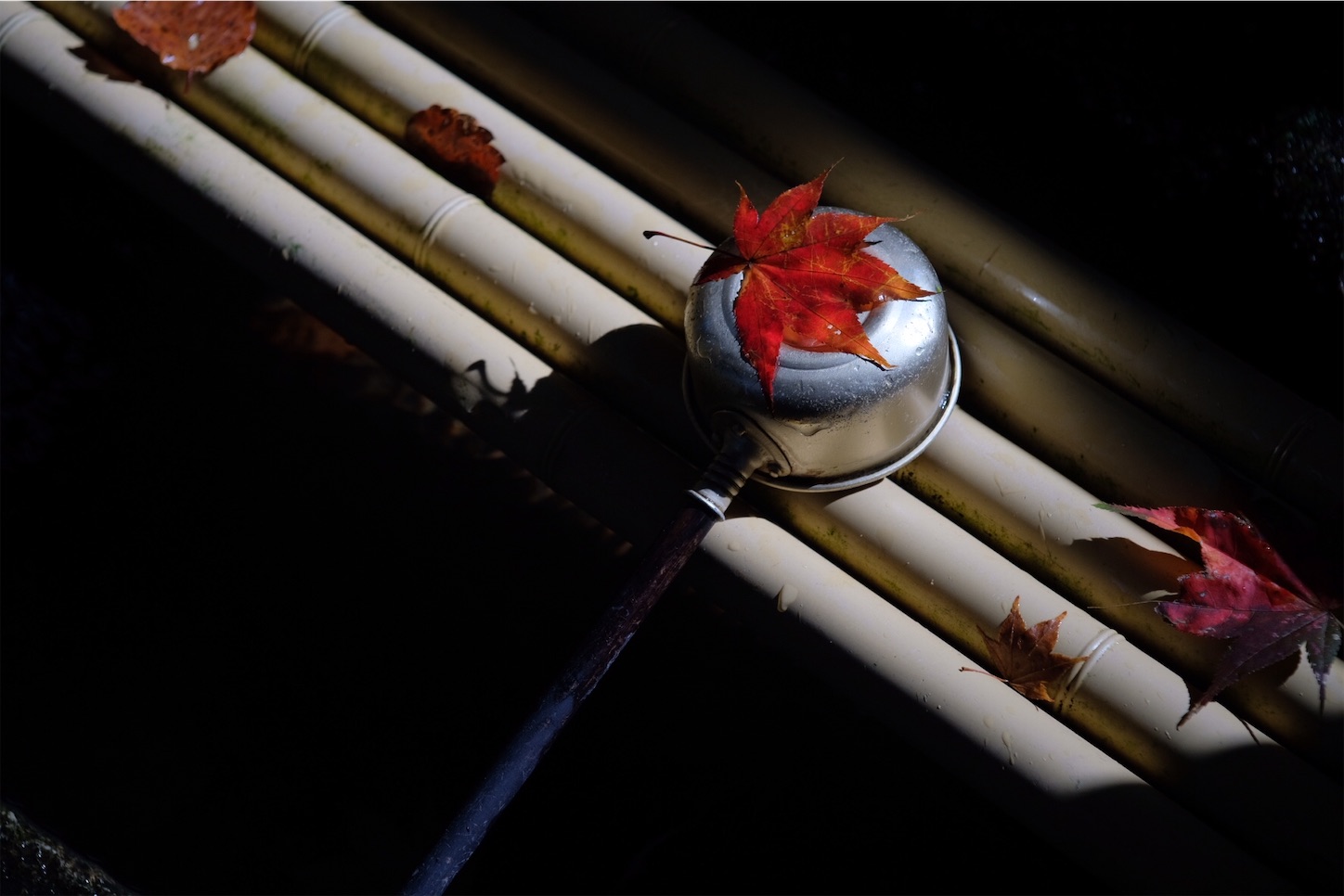 f:id:p-b-4:20201124011344j:image