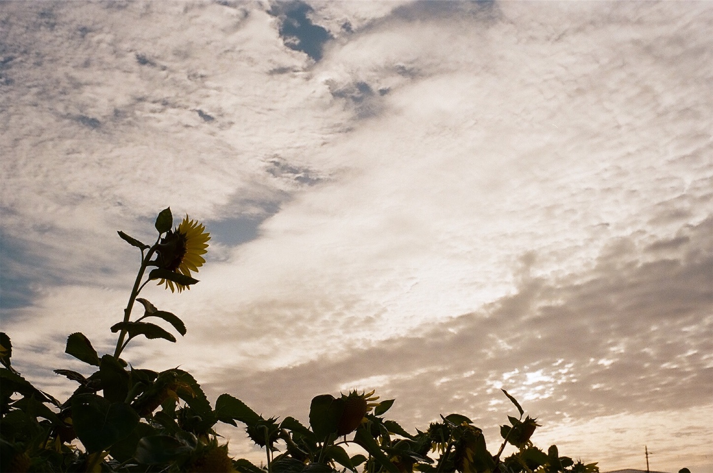 f:id:p-b-4:20201211183936j:image