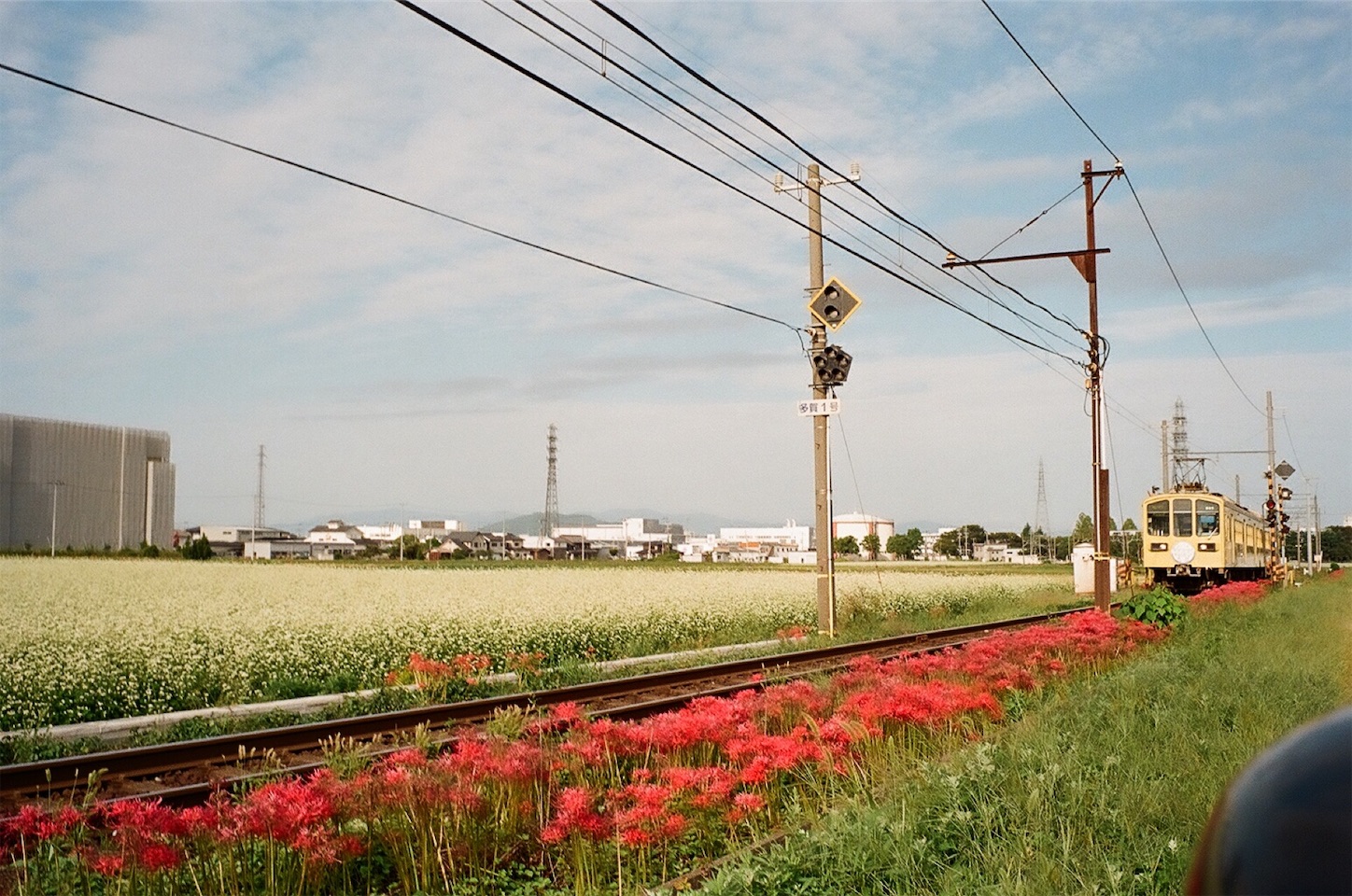 f:id:p-b-4:20201211183949j:image