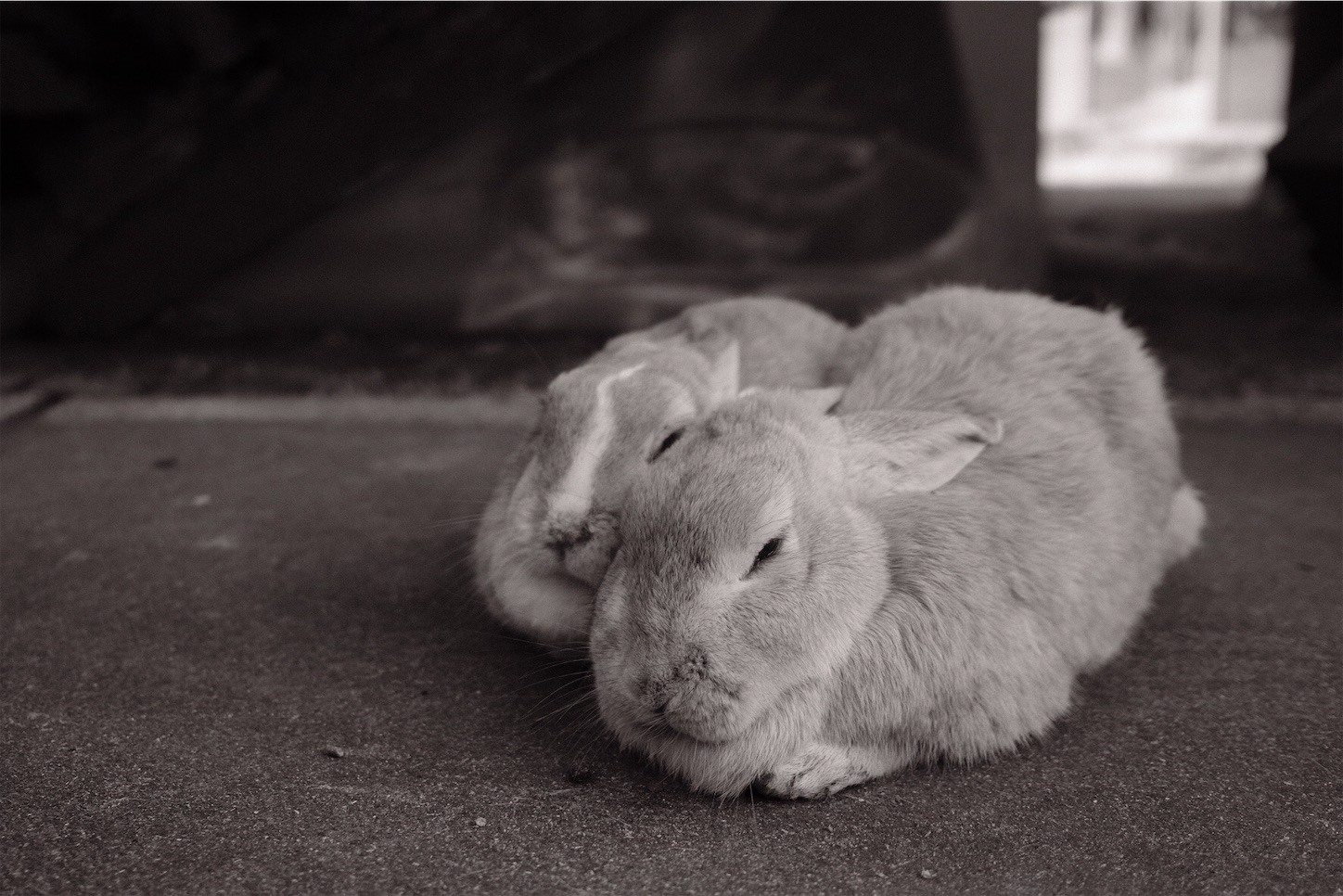 f:id:p-b-4:20210103211426j:image f:id:p-b-4:20210103211426j:image