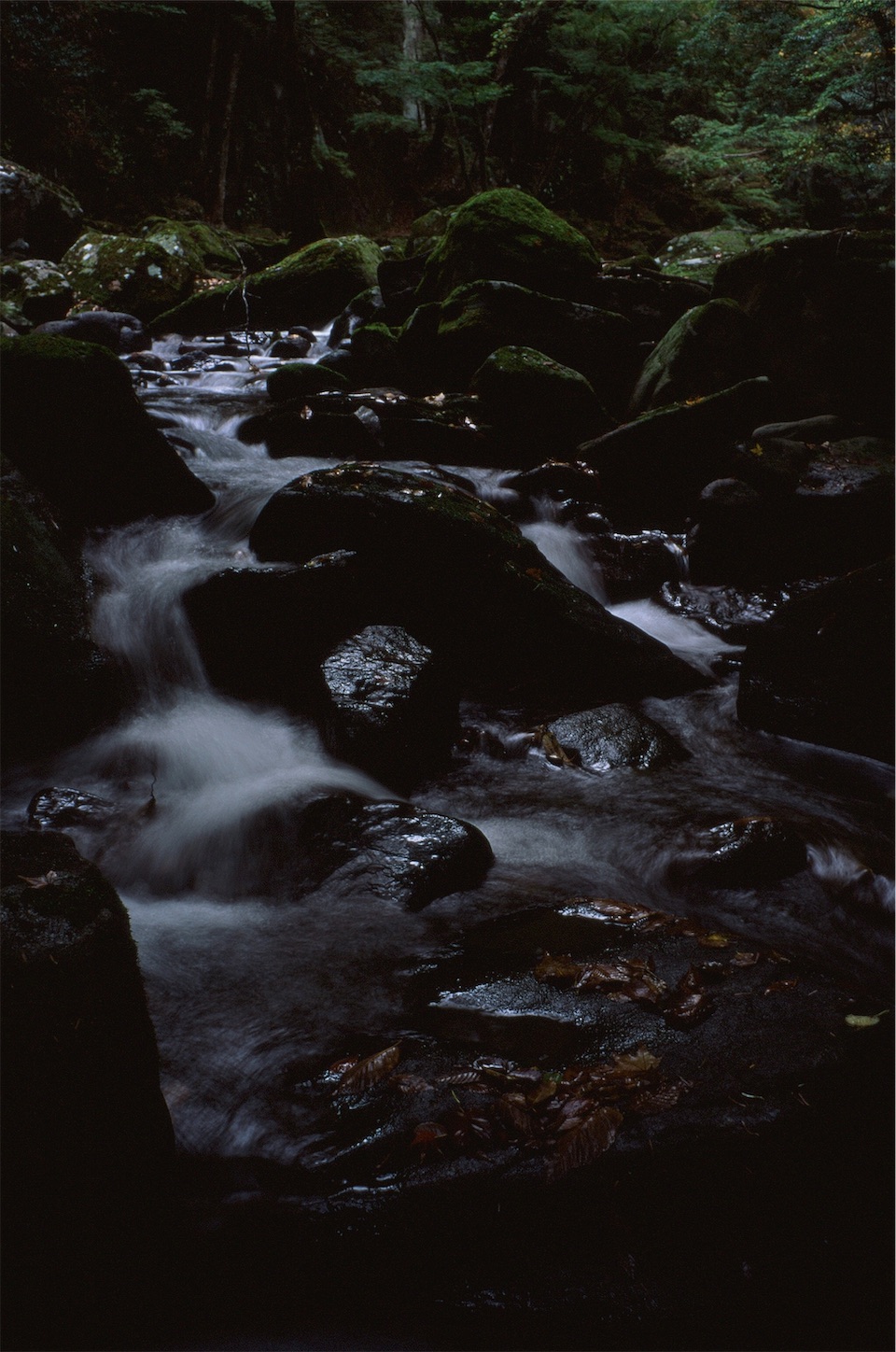 f:id:p-b-4:20210130124407j:image