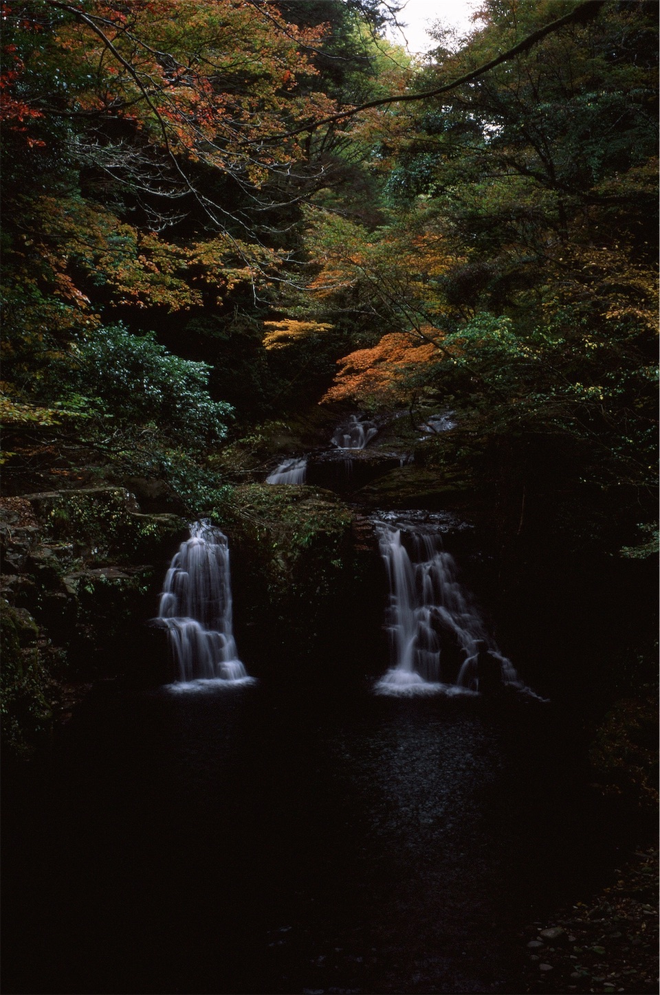 f:id:p-b-4:20210130124411j:image