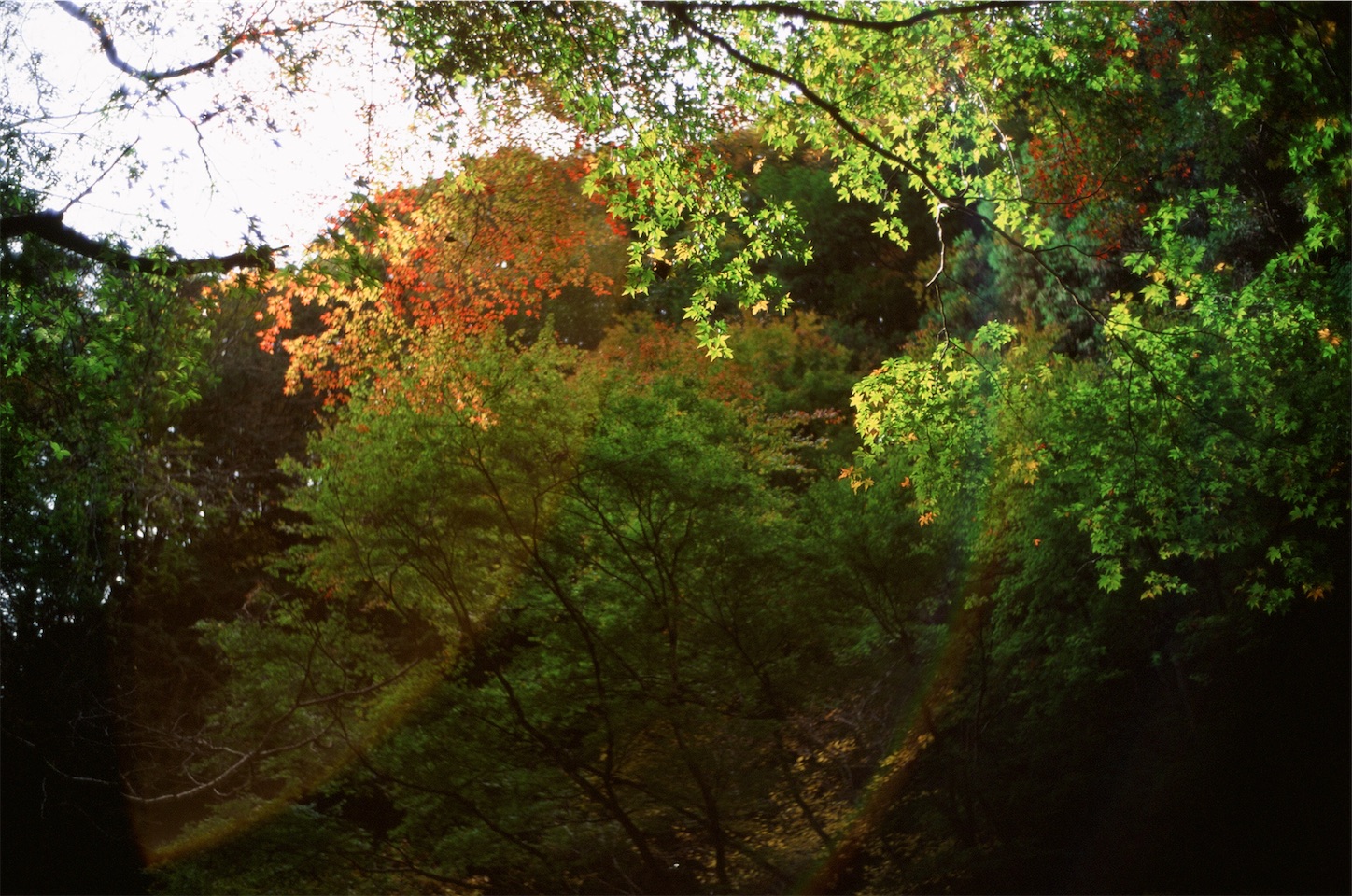 f:id:p-b-4:20210130124421j:image