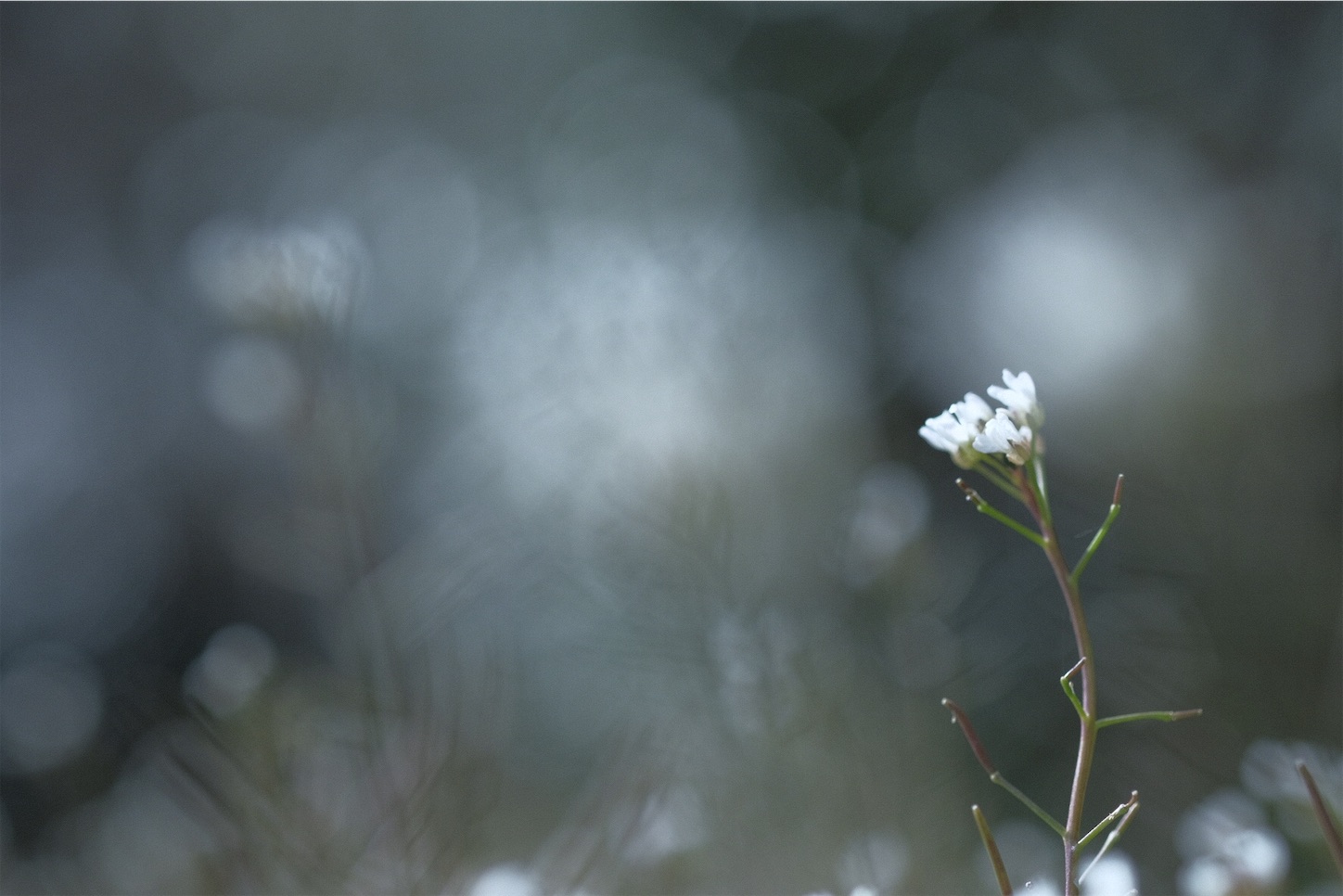 f:id:p-b-4:20210215094612j:image