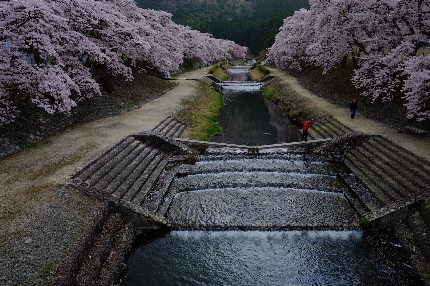 f:id:p-b-4:20210413234153j:image