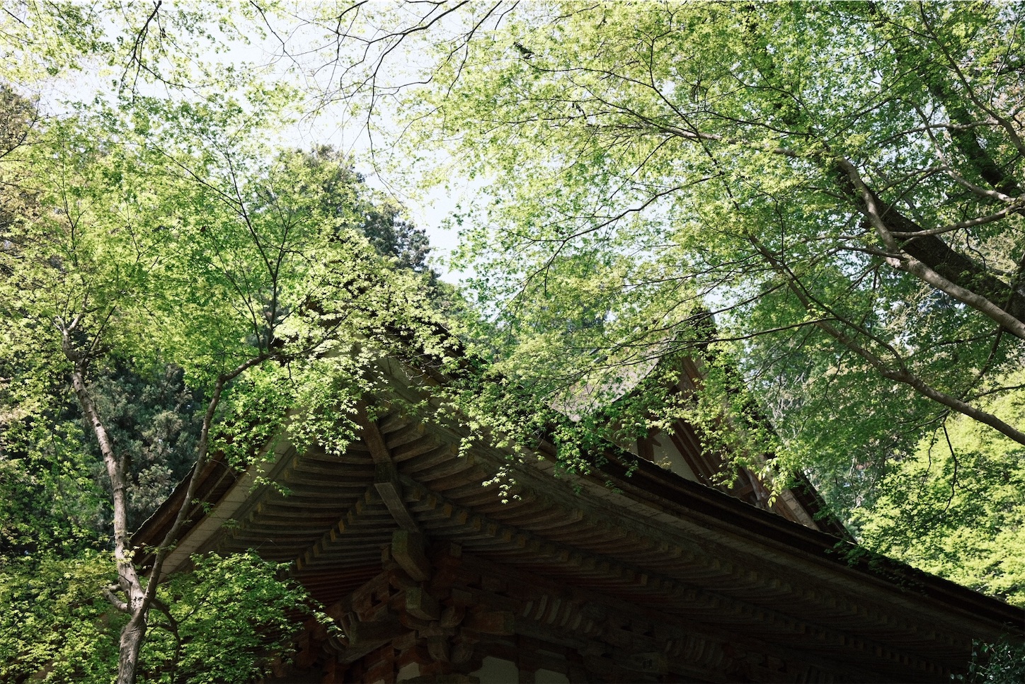 f:id:p-b-4:20210418194952j:image f:id:p-b-4:20210418194952j:image